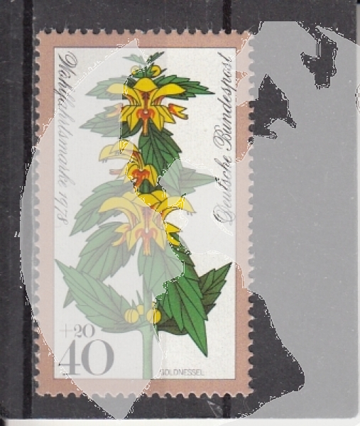 NSR 0983 ** - 1978